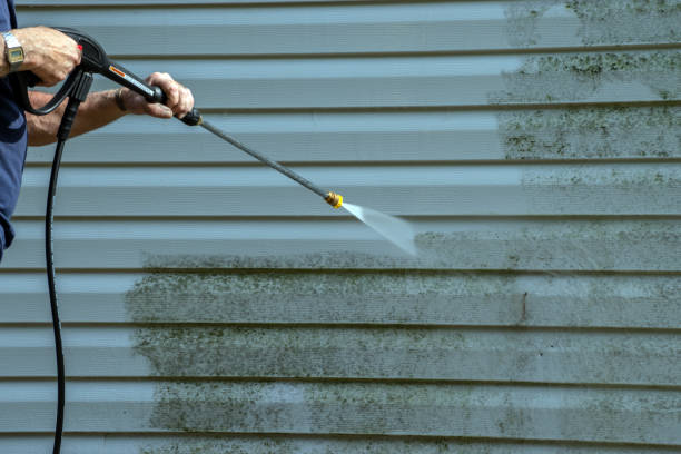 Best Soft Washing  in Millington, NJ